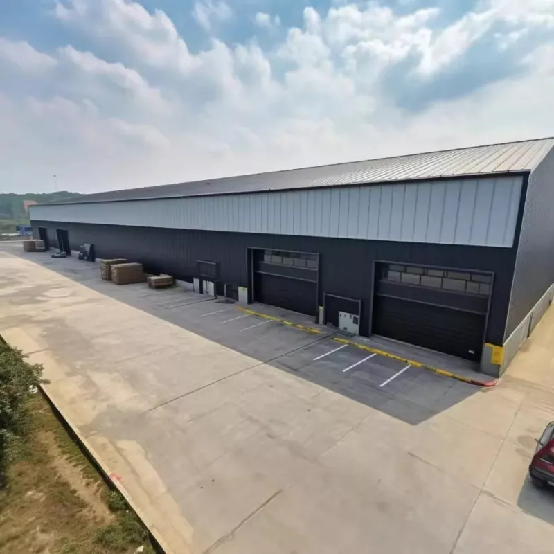 Magna spatium Steel Structure CELLA