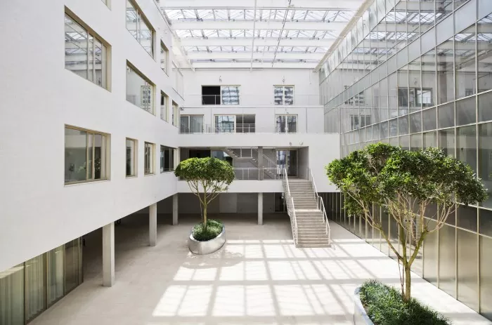 Ferro structura psychiatricis Hospitalis